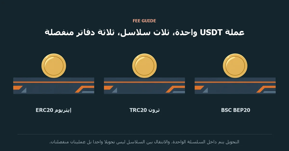 رسم توضيحي: ثلاث عملات USDT متطابقة، كل واحدة على دفتر منفصل، وتحتها إيثريوم وترون وBSC